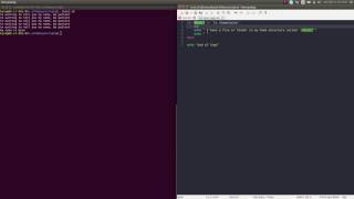 For, Until, While Loops and If Statements- Bash Scripting