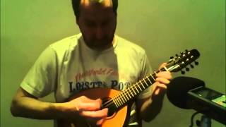 Halsway Schottische (mandolin version)