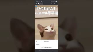 欸笑死pop cat辱華