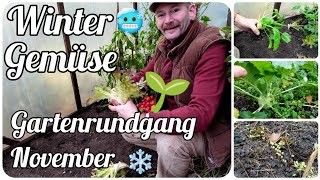 Winter Gemüse 🌱 Gartenrundgang November ❄️🥶