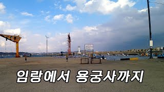 [4K KOREA] 부산 동해안 드라이브 임랑해수욕장에서 칠암마을, 동백항, 일광해수욕장을 거쳐 해동용궁사까지