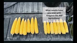 Holganix - What Results Have You Seen with Holganix Bio 800 Agriculture?