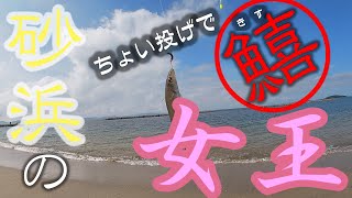 【三河湾】ちょい投げで砂浜の女王キスを釣る！梅雨の時期でも沢山釣れるよ！