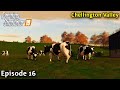 FS19 Timelapse - Chellington Valley Seasons Yr2 Ep 16  BUYING COWS