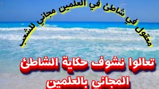 اقبال كبير على شاطئ العلمين المجانى/مجانا لكل المواطنين/جمال وروعة الشاطئ المجانى فى العلمين