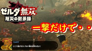 一撃くらったら即終了！ウルボザの特訓が怖すぎた！【ゼルダ無双厄災の黙示録】【初見実況】#12