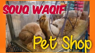 The Souq Waqif Pet Shop