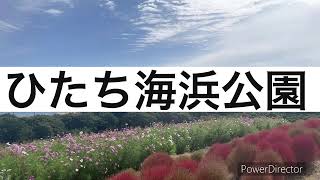 2023年10月14日　ひたち海浜公園　コキア_Full HD 1080p.mp4