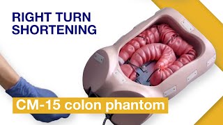Basic Techniques of Colonoscope Insertion | Exercise 1: Right turn shortening