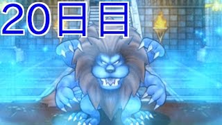 DQMSL | キングレオ城 超級！強敵含めてサクッと周回 | 20日目