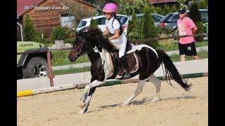 🐎Verseny-Haladó ügyességi lovaglás(Zirc-Tündérmajor 2017. 08. 27.)