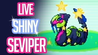 [LIVE] Shiny Seviper Full Odds after a whopping 44,752 RE'S in Pokemon Sapphire! (Phase 1)