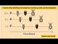 insect development | factors affecting decomposer growth and development |Juvenile grow Module 05.04