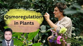 Osmoregulation in Plants Hydrophtes, Mesophytes, and Xerophytes