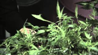 Geto Boys - G Code [OG's Music Video]
