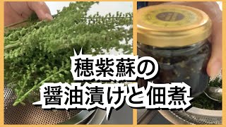 【活かす暮らし】穂紫蘇の醤油漬けと佃煮を作ってみました　シソの実　レシピ／食べ方　アレンジ料理