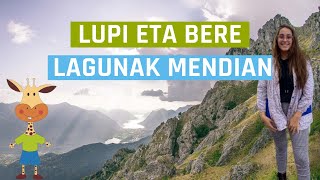 LUPI ETA BERE LAGUNAK MENDIAN