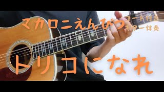 【ギターコード付き】マカロニえんぴつ/トリコになれ【アコギ弾いてみた】