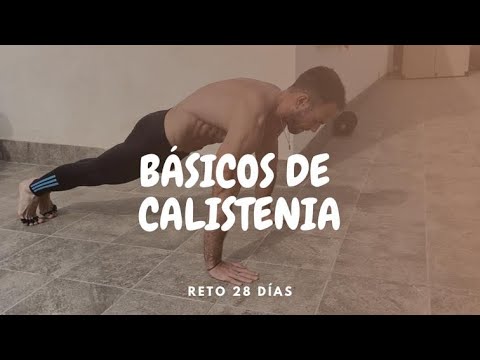 Rutina Básicos Calistenia Reto28dias Dia23 Youtube