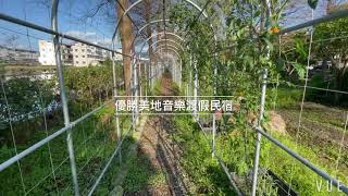 宜蘭極美落羽松民宿｜音樂民宿推薦｜踏踏風格｜跟著我一起踏踏遊玩啦