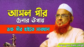 আসল পীর চেনার উপায় ||ভন্ড পীর হইতে সাবধান || আল্লামা নুরুল ইসলাম ওলিপুরী nurul islam olipuri