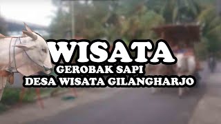 Wisata Naik Gerobak Sapi di Yogyakarta - Info Tarif 2022