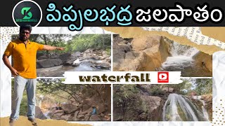 PIPPALABADRA WATERFALL |#parvathipuram| Andra-odissa boarder #satishkakimukkala #teluguvlogs #telugu