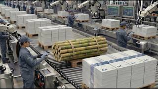 The Surprising Process of Making Paper From Sugarcane Waste | Inside a High-Tech Bagasse Factory