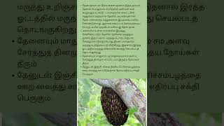 மலைத்தேன் பயன்கள்# benefits of honey#taken from forest#