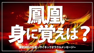 【ツインレイ】鳳凰や龍に身に覚えは？ライオンズゲートのキーでもありそうです～音声：ガイドからのメッセージ