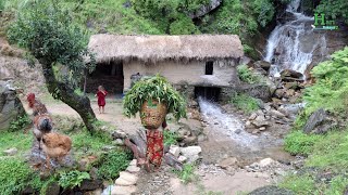 Winter Survival in The Himalayas: A Day in The Life of a Farmer  | Hari Rokaya Village Life of Nepal