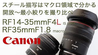 スチール描写はマクロ領域で分かる【開放〜最小絞りを撮り比べ】RF14-35mmF4L IS USM vs RF35mmF1 8 Macro is stm