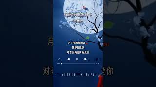 静静的想你#情感音乐 #好的音乐总能触动人的心灵 #歌曲陪你度过漫长岁月