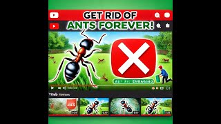 3 Easy Steps to Make Your Yard ANT FREE FOREVER!