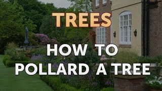 How to Pollard a Tree