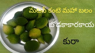 బోడకాకరకాయ కర్రీ|| మటన్ కంటె మహా బలం||super yummy 😋😋