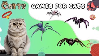 CAT TV | Realistic Spider | Games for cats with 3D Sound