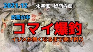 2021.12 北海道留萌方面　コマイ爆釣　#釣り #北海道 #投げ釣り #冬 #fishing