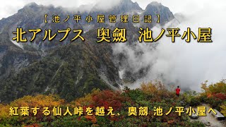 【池ノ平小屋管理日記 Vol.24】紅葉する仙人峠を越え、奥劔 池ノ平小屋へ【北アルプス・剱岳】