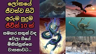 ලෝකයෙන් වඳ වී ගොස් ඇති ජීවීන් 10ක් සමහරු වඳ උනේ මිනිස්සුන්ගෙ වාසනාවට