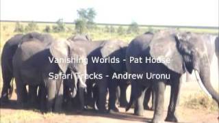 Serengeti Migration - A Tanzania Safari