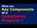 What are Key Components of a Compliance Program | AML Compliance by Accountants and Firms