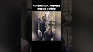животных кормят через забор! ПУТИНСКАЯ МОБИЛИЗАЦИЯ В РОССИИ