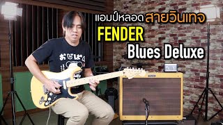 แอมป์หลอด สไตล์วินเทจ Fender Blues Deluxe