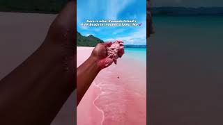 Komodo Island’s Pink Beach, Indonesia