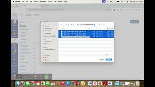 Using SCORM in Canvas