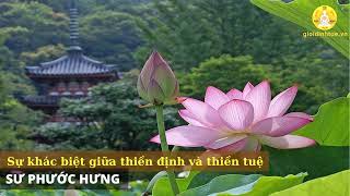 Sự khác biệt giữa thiền định và thiền tuệ