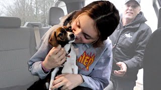 We got a PUPPY!!😍 (VLOGMAS 2020) Vlog 377