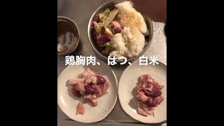 犬猫手作りごはん(生肉)