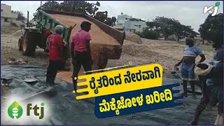 FTJ | ರೈತರಿಂದ ನೇರವಾಗಿ ..ಮೆಕ್ಕೆಜೋಳ ಖರೀದಿ | Krishijagrankannada | Farmernews | Gadag | Maize |24-11-22